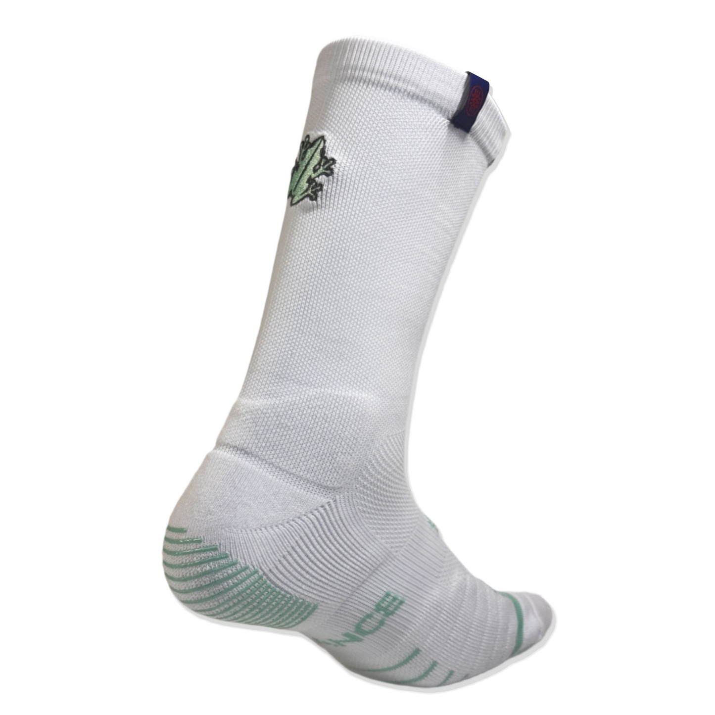 PR Mint Coquí Socks
